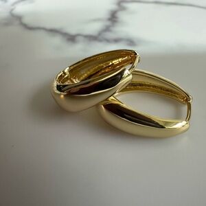 Elegant Gold Hoop Earrings
